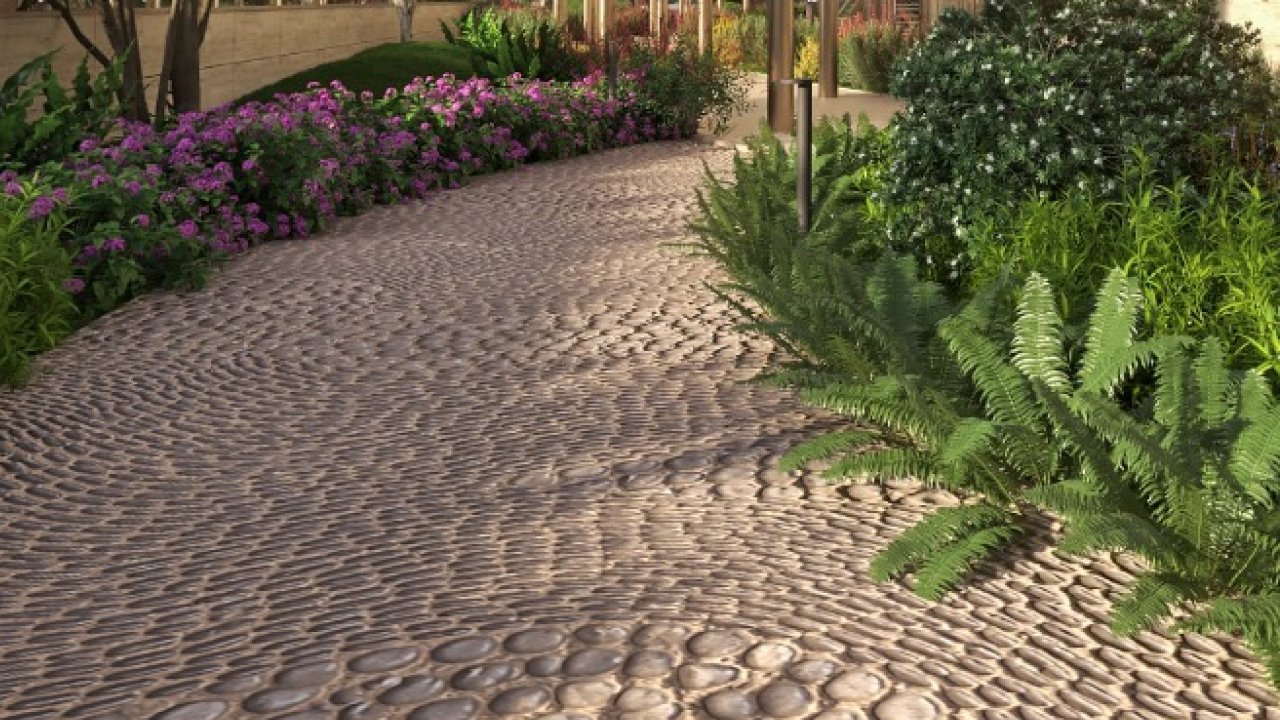 Reflexology-Path
